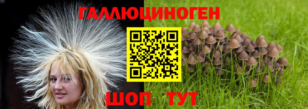 МЕФ Вичуга