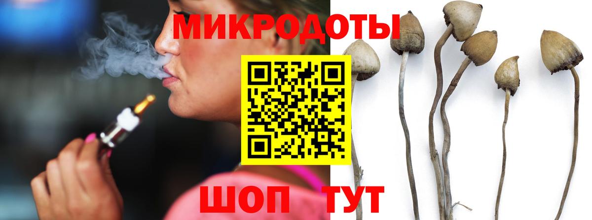 Вичуга  Галлюциногенные грибы прущие грибы  Вход с VPN 
