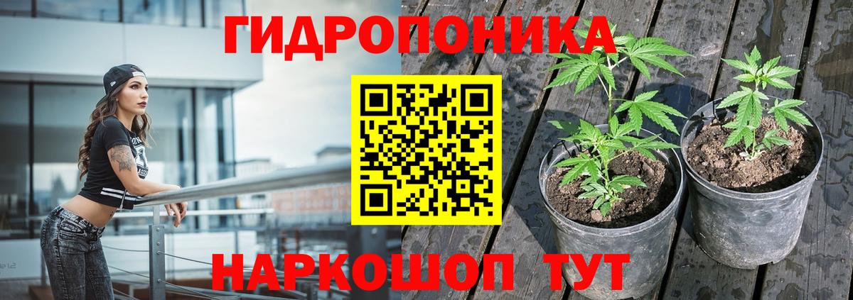 Конопля планчик  Шишки марихуана VHQ  Конопля гибрид  Канабис Amnesia  Вичуга  Вход с VPN 